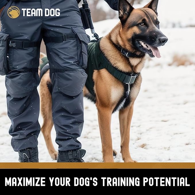 Team Dog Freeze-Dried Raw Beef Dog Treats | Dog Training Treats & Food Toppers for Picky Dogs | Made from Gluten Free, Grain Free 100% USA-Sourced Beef Lung, Liver & Heart | 14 oz Bulk Size Pack