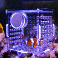 Acrylic Fish Breeding Box, Magnetic Fish Isolation Box Fish Separator for Aquarium Hatchery Incubator Tank for Baby Fishes Shrimp Clownfish Guppy (Small, Reinforced Magnetic Model)