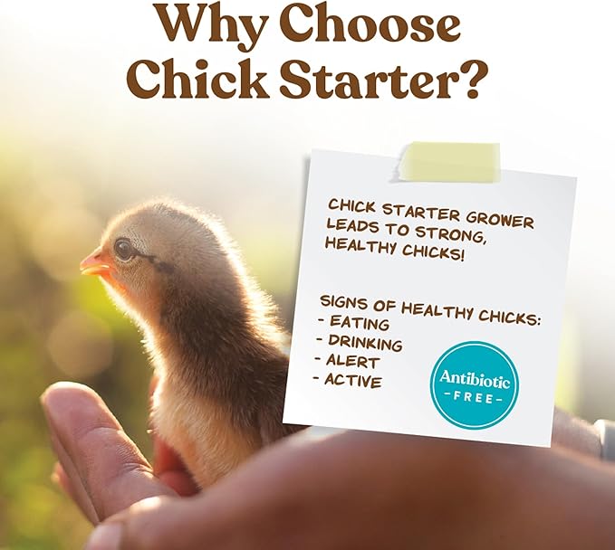 Manna Pro Chick Starter Feed, Non-Medicated Chicken Feed with Vitamins & Minerals, Complete Nutrition for Baby Chicks, 5 lb Bag