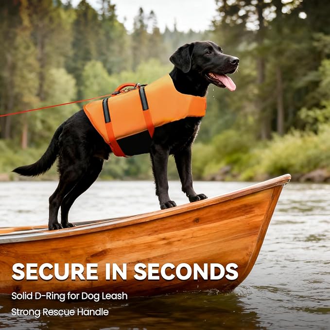 VIVAGLORY Rip Stop Dog Life Vest, Swimming Vest with Handle, Buoyancy for Doggy Puppy, Dog Life Jacket for Swimming & Boating, M, Dark Orange