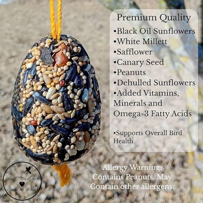 Birdseed Ornaments for Outside - Set of 3 for Wild Birds - Premium Quality - Wild Bird Treats - Egg-Shaped Hanging Birdseed Ornaments