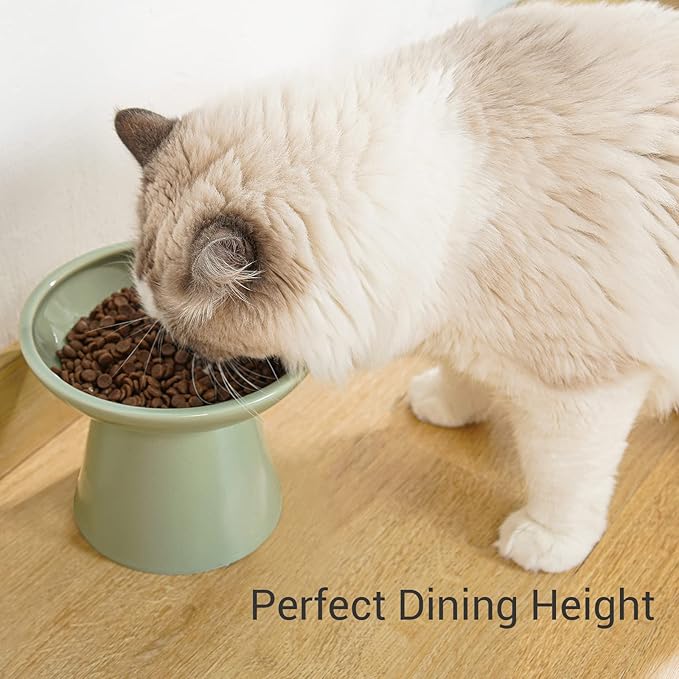 Extra Wide Elevated Ceramic Cat Bowl, 6.2" Shallow Dish for Whisker Fatigue Relief, 5" Height for Easy Feeding, Durable Raised Cat Food Bowls, Pack of 2, Sage Green