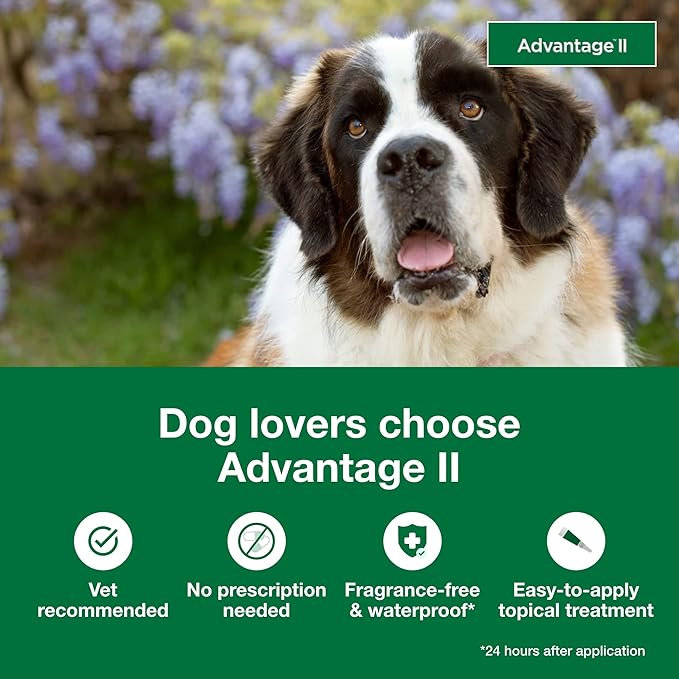 Advantage II Extra Large Dog, 4 pack