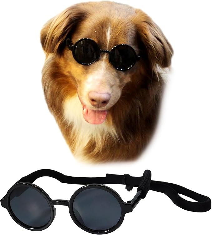 G001 Medium Breeds 20-40 lbs Dog Cat Pet Costume Prop Round Sunglasses (Black)