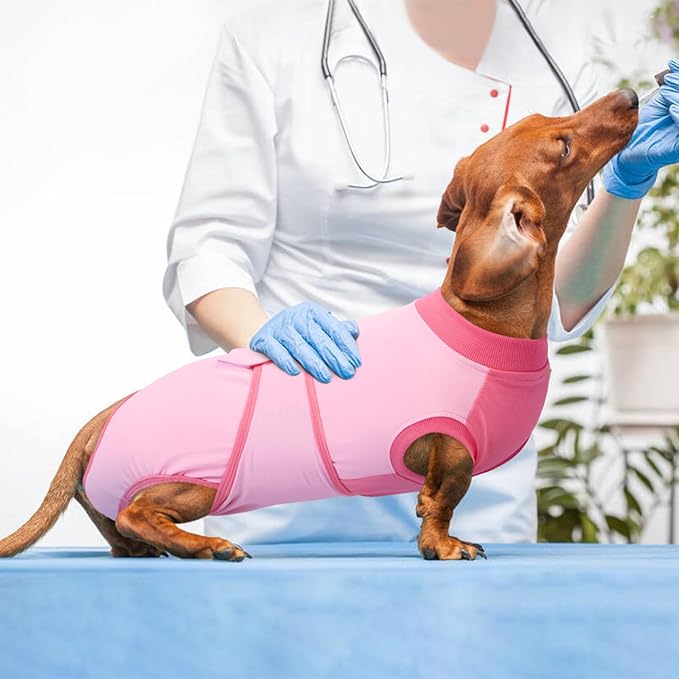 Kuoser Recovery Suit for Dogs, Soft Dog Spay Suit for Female Surgery Recovery, Breathable Dog Neuter Recovery Suit Male, Anti Licking Dog Onesie for Abdominal Wounds Cone Alternatives, Pink M