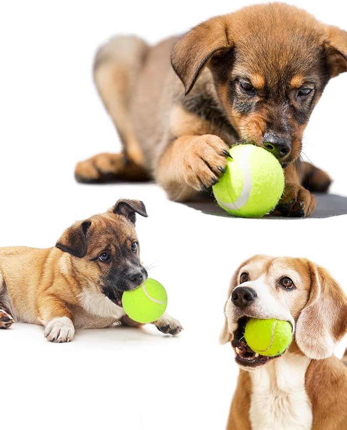 Tennis Balls for Dogs, 2-Inch Size, Compatible with Most Automatic Ball Launchers idea for Small Dogs(12 Balls only)