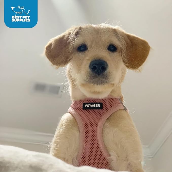 Best Pet Supplies Voyager Step-in Air Harness - All Weather Mesh, Reflective, No Pull Harness for Dogs, Cats - Secure with Hook & Loop Fastener, Buckle, Double D-Rings - Pink, XXS
