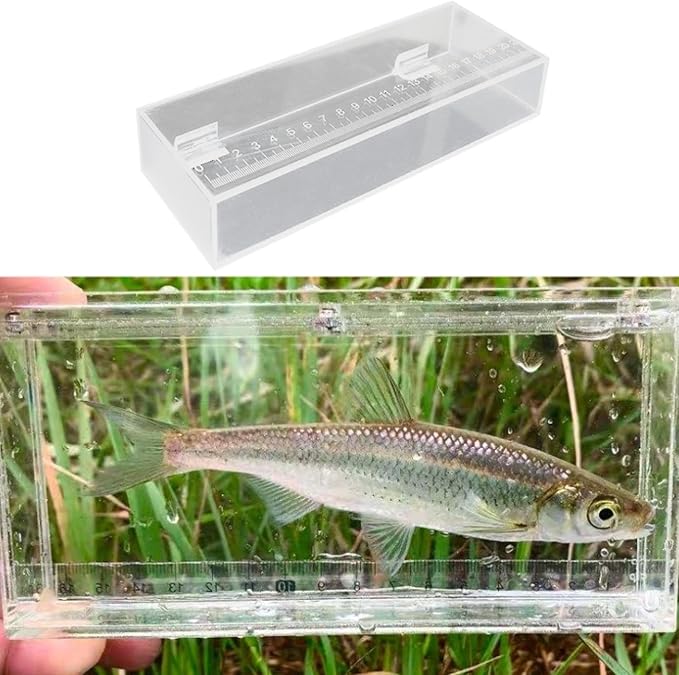 Fish Breeding Box Fish Isolation Breeder Box Fishing Photo Tank Fish Viewing Box, 22x4.2x8cm