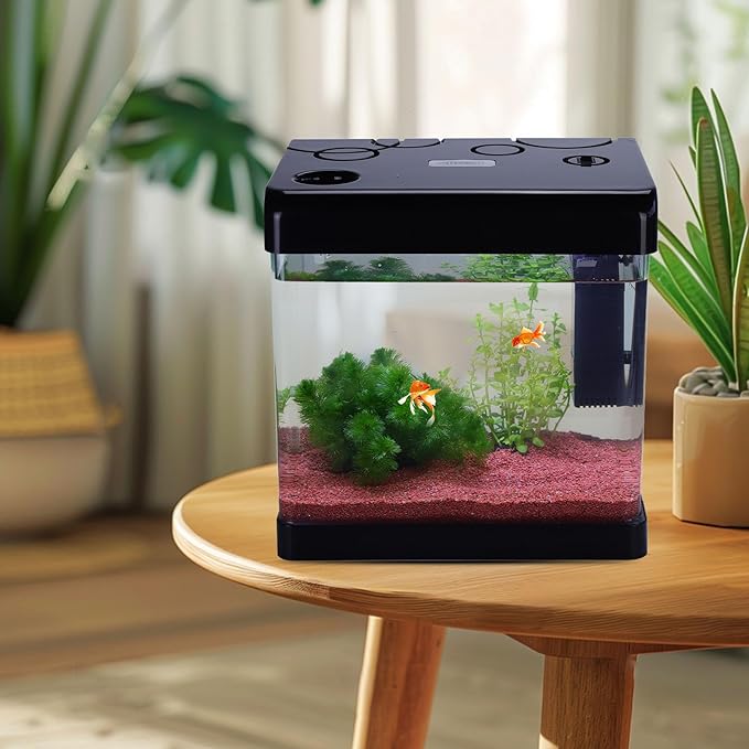 Betta Fish Tank,5 Gallon Glass Aquarium Starter Kit, Small Fish Tank with Filter and Light.