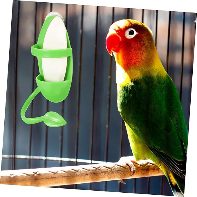 VANZACK 2sets Bird Feeding Watering Supplies Cuttlebone for Parakeet Budgie Food Snail Feeder Bird Bowl for Cage