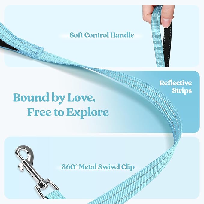 rabbitgoo Dog Harness Small Sized and Leash Set, Step in Soft Light Puppy Vest, Breathable Mesh Pet Harness, Reflective for Safe Easy Walking, Mint Blue S