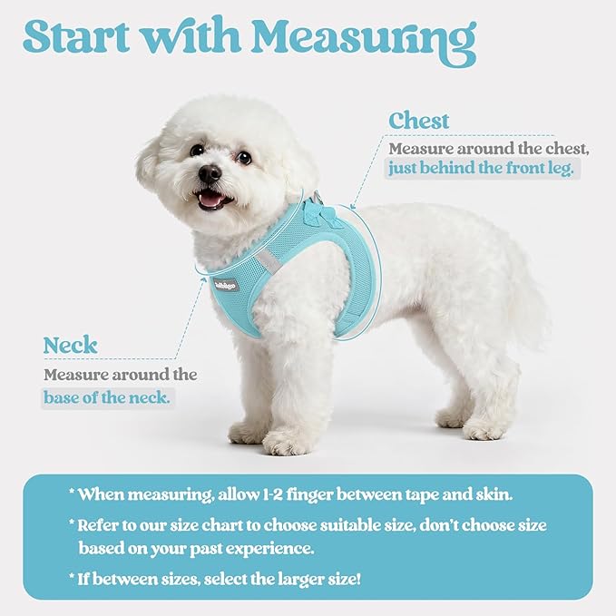 rabbitgoo Dog Harness Small Sized and Leash Set, Step in Soft Light Puppy Vest, Breathable Mesh Pet Harness, Reflective for Safe Easy Walking, Mint Blue XS