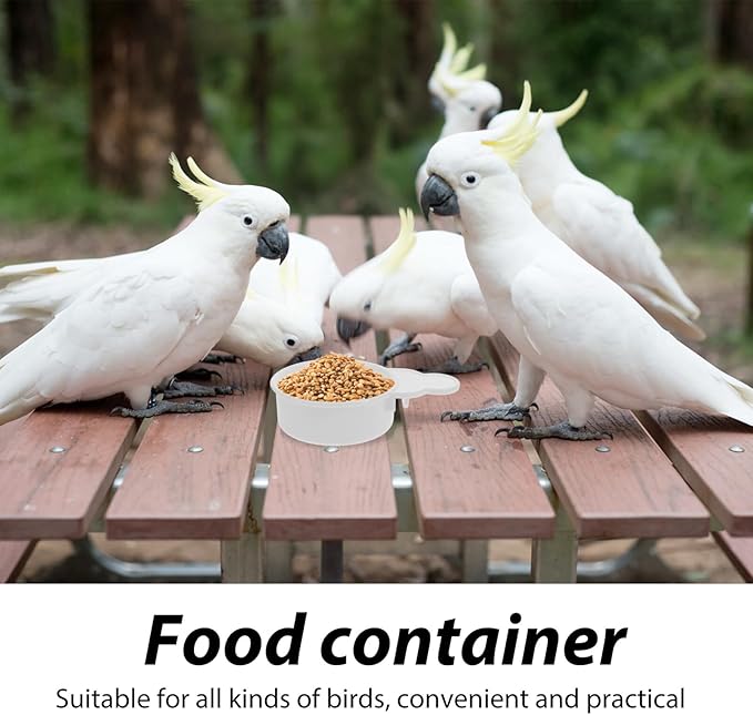 BESTonZON 2pcs Bird Feeder and Water Dispenser Cups for Cage Small Parakeet Food and Water Feeding Bowls Plastic Bird Feeding Watering Supplies for Small