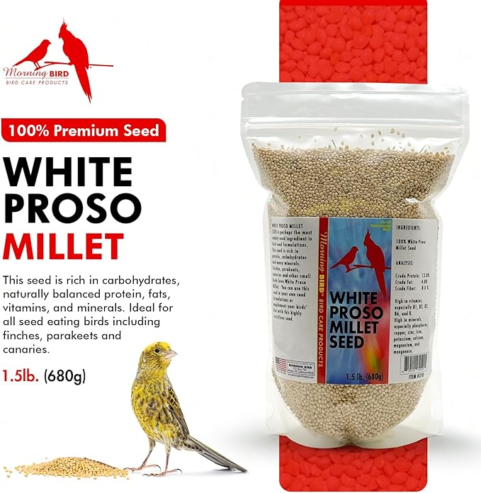 Morning Bird White Proso Millet 1.5 lbs – Natural Bird Seed – Supports Feather Growth & Balanced Nutrition – High Energy Delicious Seed - Ideal for Finches, Parakeets & Pet Birds