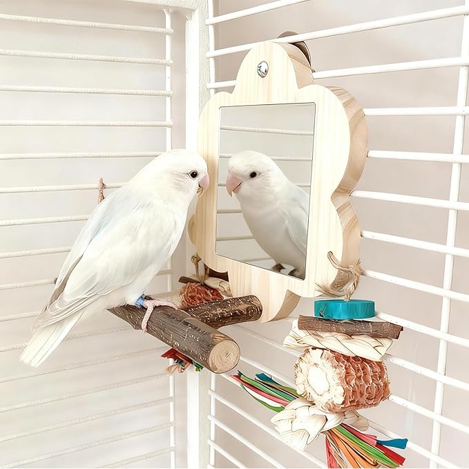 Bird Mirror with Perch, Cockatiel Mirror for Cage, Parakeet Toys with Chew Toy,Bird Cage Accessories for Parrot Conure Lovebirds Finch Canaries(Pinecone)