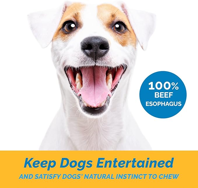 123 Treats Esophagus Dog Treats - (Free Form - 1 lb) 100% Natural, Flat Gullet Sticks for Dogs, Beef Jerky Dog Treats Strips, NO Preservatives, Hormones, or Antibiotics