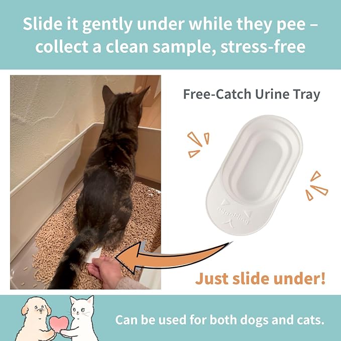 Pet Urine Collection - Cat Urine Sample Tray (6-Pack) Disposable Paper Clean Catch for Cats & Small Dogs - Midstream Slide-Under - No Special Litter Required - Made in Japan