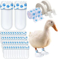 Disposable Boots for Real Duck Feet, Bumble Foot for Duck Supplies with Bandage, Large Size (Blue, 40 PCS)