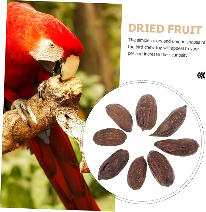 8pcs Dried Fruit Bird Toys for Parrots Foraging Chewing Toys for Birds Parrot Accessories Natural Shredding Treats