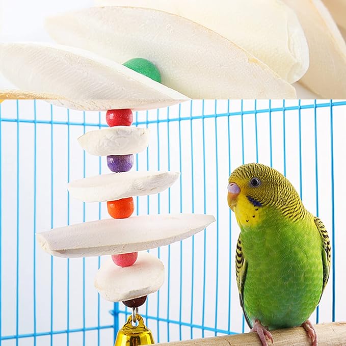 Afkengung 3 Pieces Cuttlebone Natural Cuttlebone Calcium Block for Birds Parakeets Reptiles Turtles Grindable Powder Feeding Natural Calcium Supply Improve Pet Immunity Each 5.5-6.5 Inch
