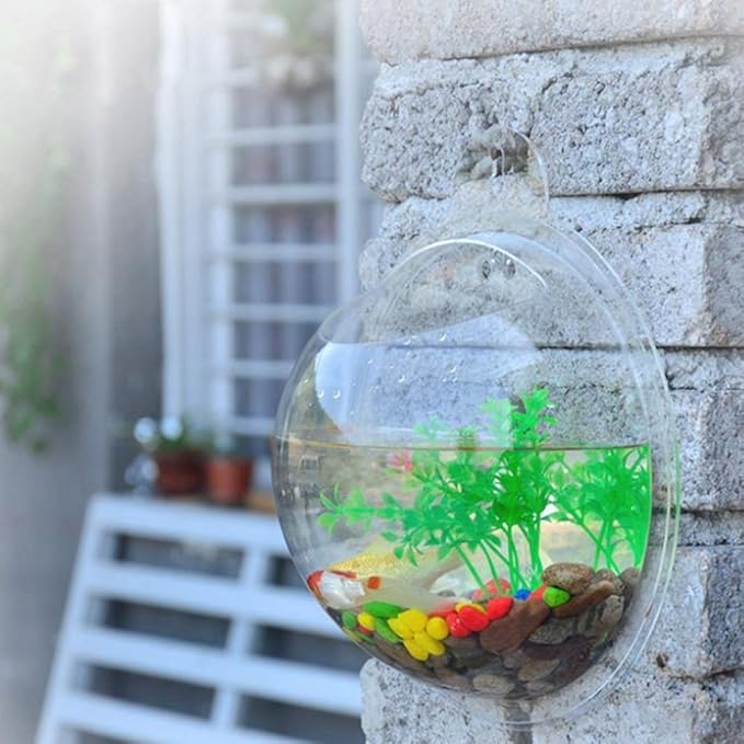 Abyss Pets Wall Mounted Hanging Fish Bowl Aquarium Tank for Gold Fish and Beta Fish, 10"