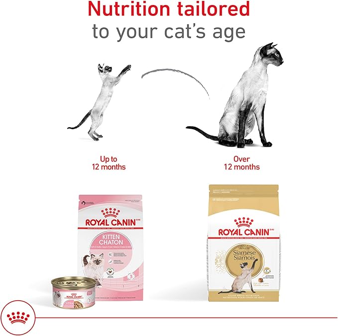 Royal Canin Feline Breed Nutrition Siamese Adult Dry Cat Food, 6 lb Bag