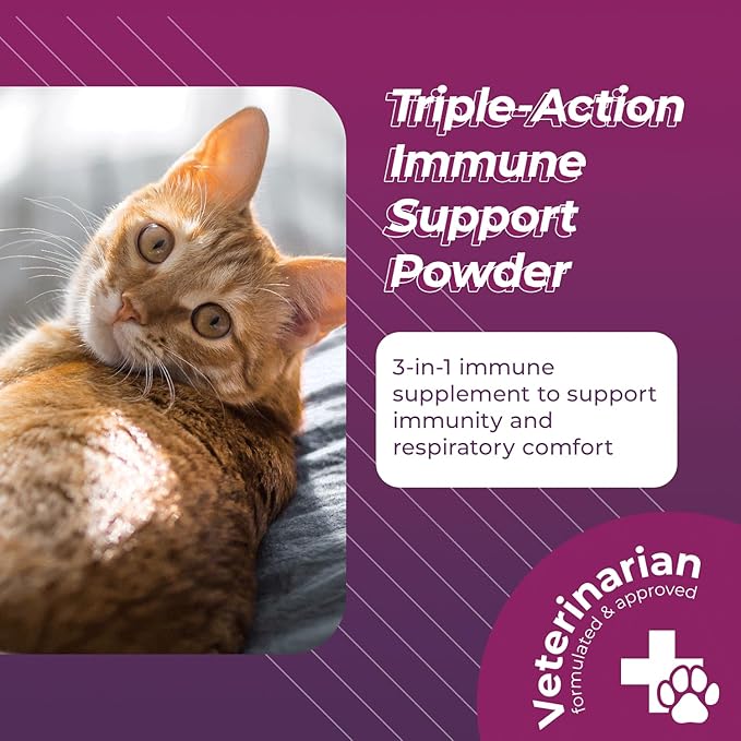 VetriScience Ultimate Strength Lysine Immunity Health Powder for Cats & Kittens, Supplement for Allergy & Nasal Support, Sneezing, Runny Nose & Watery Eyes, Chicken & Cheese Flavor, 60 Count -New Look