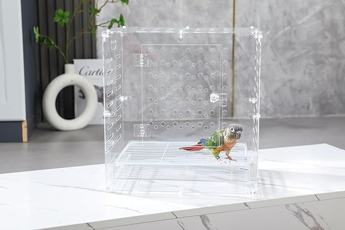 Clear Acrylic Bird Cage for Small Birds, Transparent Display Habitat for Canary, Parakeet - Easy to Clean & Assemble (9x12x13in)