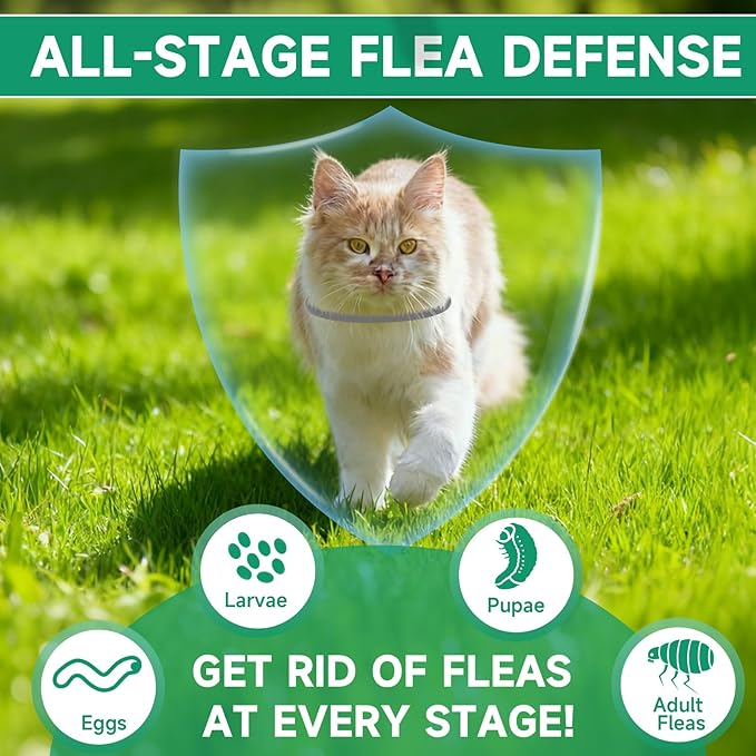 4 Pack Flea Collar for Cats, 32 Months Flea and Tick Prevention for Cats, Cat Flea Treatment, Adjustable Cat Flea Collars, Waterproof Cat Flea and Tick Treatment Collar, Flea Treatment for Cat, Grey