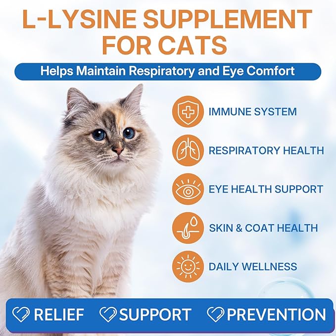 L-lysine Supplement for Cats, Immune Support for Cats, Support for Feline Respiratory, Sneezing, Runny Nose, Eye Function, Helps Strengthen Natural Defenses, Chicken Flavor (1PC)