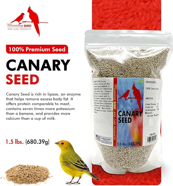 Morning Bird Canary Seed 1.5 lbs – Nutrient-Rich Bird Seed – Creamy Golden Grain Powerhouse - Supports Healthy Feathers & Strong Bones – Natural Daily Nutrition for All Bird Types