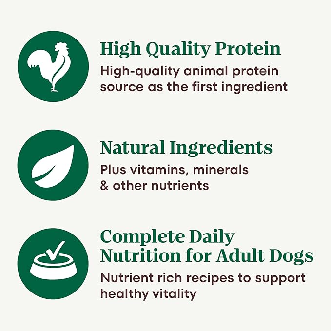 Nutro Adult Wet Dog Food, Natural Grain Free Dog Food Wet Cuts in Gravy Roasted Turkey, Potato & Pea Stew Recipe, 3.5 oz. Trays (Pack of 24)