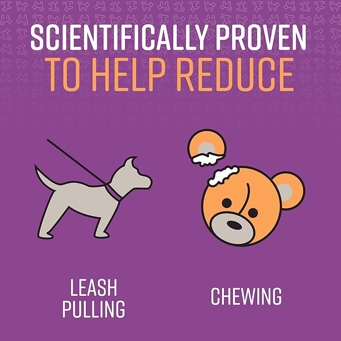 Sentry Pet Care Stop That! Behavior Correction Spray for Dogs, Easy Spray Application, Noise and Pheromones Help Eliminate Excessive Barking, Marking, Jumping, and Other Unwanted Behaviors
