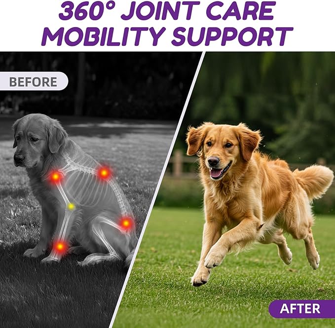 Hip and Joint Supplement Dogs, Glucosamine Chondroitin Joint Supplement for Dogs, Joint Chews for Dog Joint Pain Relief 180 Ct Chicken Flavored Fit All Breed