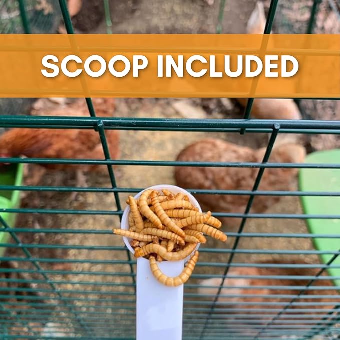 Wild Bird Magnet | Premium Freeze Dried Mealworms | Living Sight Attractant | Ethically Sourced Natural Organic Yellow Worms | High Protein Treats for Birds & Exotic Pets | (7oz)