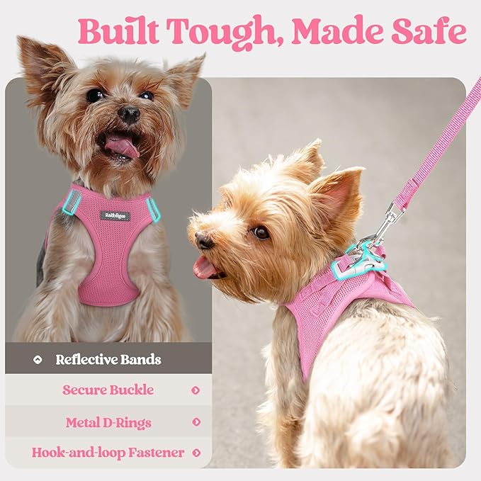 rabbitgoo Dog Harness Medium Sized and Leash Set, Step in Soft Light Puppy Vest, Breathable Mesh Pet Harness, Reflective for Safe Easy Walking, Light Pink XXL