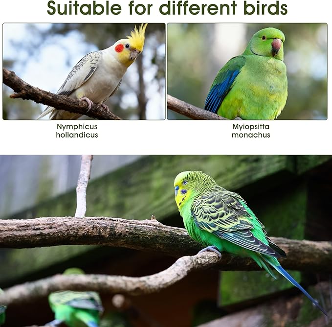 4 Pcs Bird Diaper, Cute Pet Bird Diaper, Parrot Nappy Reusable Flight Suit with Waterproof Inner Birds Diapers for Parakeet Cockatiel Mini Macaw Budgie Canary