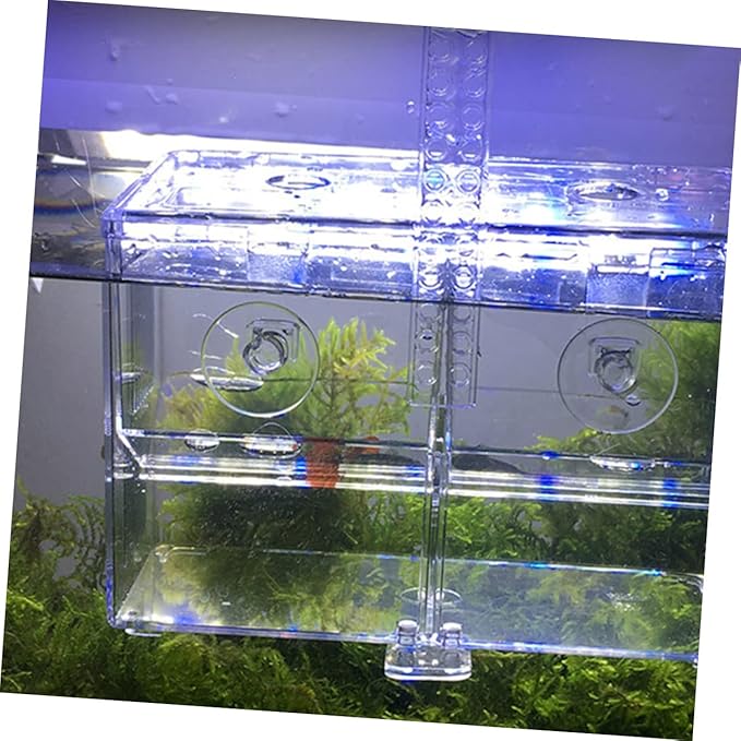 Housoutil Aquarium Hook Style Box Creative Fish Breeding Tank for Guppies and Fish for Safe and Increased Survival Rate
