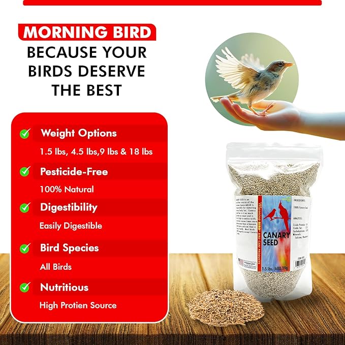 Morning Bird Canary Seed 1.5 lbs – Nutrient-Rich Bird Seed – Creamy Golden Grain Powerhouse - Supports Healthy Feathers & Strong Bones – Natural Daily Nutrition for All Bird Types