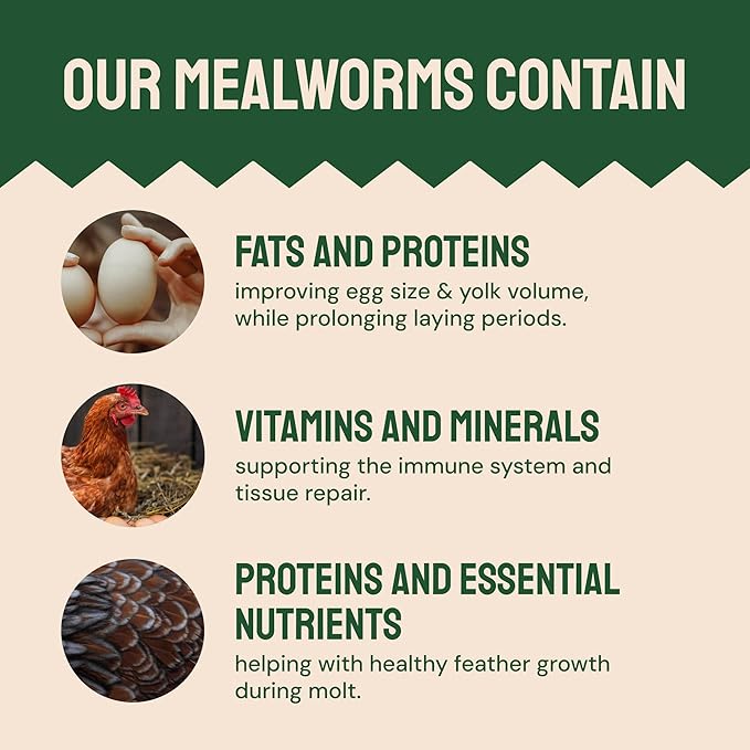 Hatortempt 20lb Dried Mealworms for Chickens - 50% Protein and 32% Essential Fats to Support Healthy Feather Growth During Molt - Organic Treats for Chickens, Ducks, Wild Birds & Reptiles