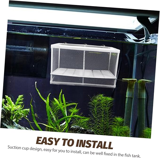 TOYANDONA 2pcs Fish Box Aquarium Incubator Fish Tank Breeding Isolation Box Divider Aquarium Style