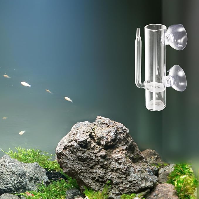 VOSAREA 1 Set Glass Shrimp Hatchery Box Suction Incubator for Brine Shrimp Eggs Fish Breeder Container with Isolation Design Easy to Clean for Aquatic Farming