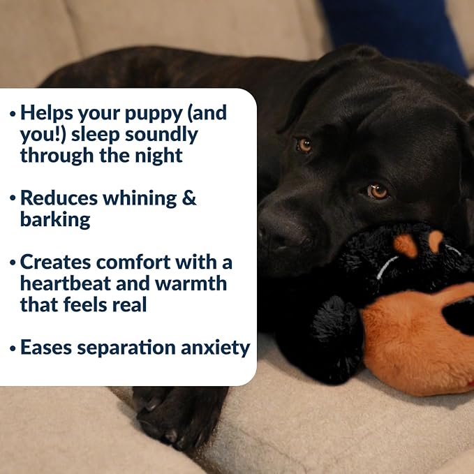 Snuggle Puppy Heartbeat Puppy Toy for Large Breeds, Breed Buddies Collection-Rottweiler, Plush Dog Toy with Real-Feel Pulse and Heat Pack for Crate Time, First Nights, and Rest
