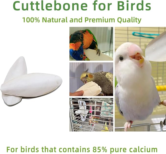 4.3"-4.7" Cuttlebone for Birds,Natural Cuttlefish Bone for Parakeets, Cuddle Bones for Sharp Beak, Premium Bird Calcium Stone for Parrots Budgie Cockatiel,12 Pcs