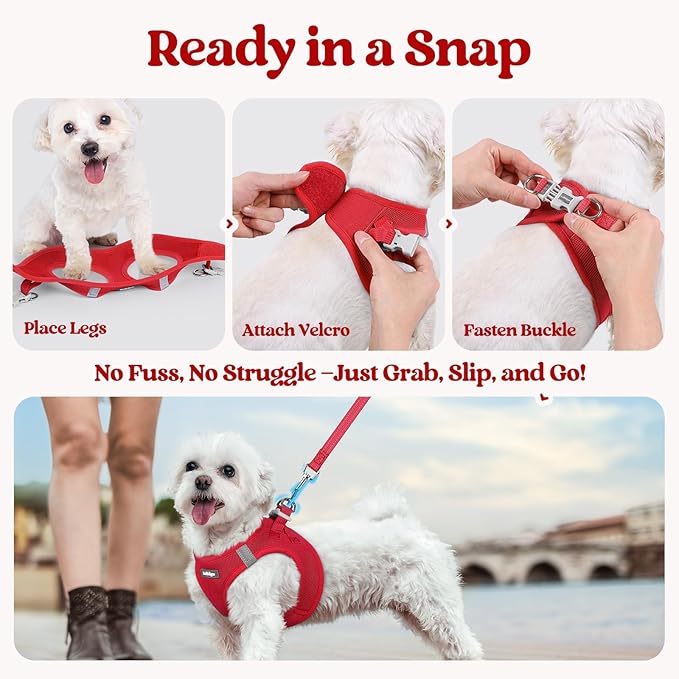 rabbitgoo Dog Harness Small Sized and Leash Set, Step in Soft Light Puppy Vest, Breathable Mesh Pet Harness, Reflective for Outdoor Safe Walking, Red XXL