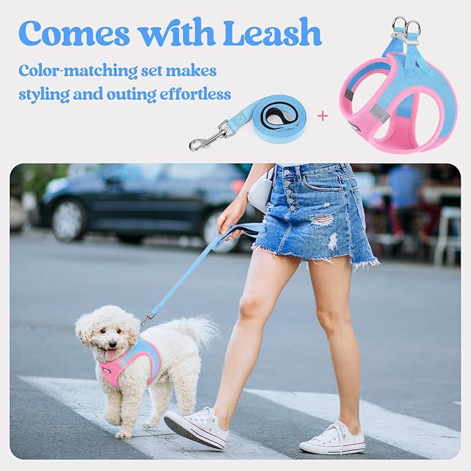 rabbitgoo Dog Harness Small Sized and Leash Set, Step in Soft Light Puppy Vest, Breathable Mesh Pet Harness, Reflective for Safe Easy Walking, Blue & Light Pink XS
