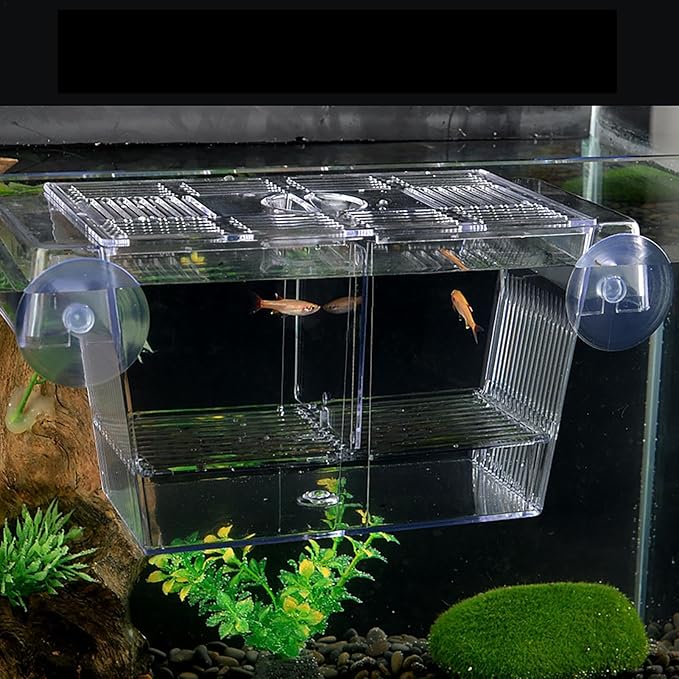 1/2 Fish Acclimation Box - Acrylic Hatchery Incubator Tank, Fish Breeder Box with 2 Suction Cups | Easily Install Breeding Isolation Box, Floating Breeding Box for Baby Fishes Shrimp Betta Guppy
