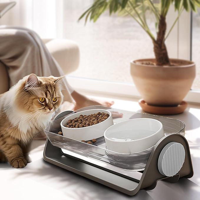 Oneluck Elevated Cat Bowl, Raised Ceramic Dish, 100% Waterproof Cat and Dog Bowls, 15° Tilted Raised Stand Slip Resistant Raised Edges, Catch Water, Food Mess, No Spills