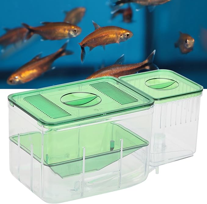 Aquarium Breeding Box for Fish Tanks Double Layer Isolation Incubator Sturdy Fish Fry Protector with Shrimp Breeding Area for Injured Fish Tanks 180Characters