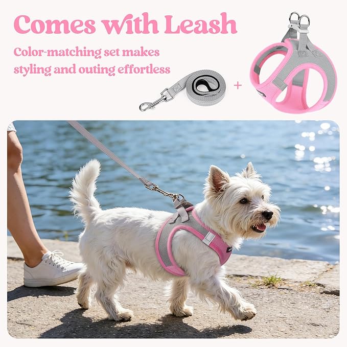 rabbitgoo Dog Harness Small Sized and Leash Set, Step in Soft Light Puppy Vest, Breathable Mesh Pet Harness, Reflective for Safe Easy Walking, Pink & Gray M